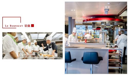 瑞士酒店管理大学CAAS硕士课程解析 酒店管理的卓越之路